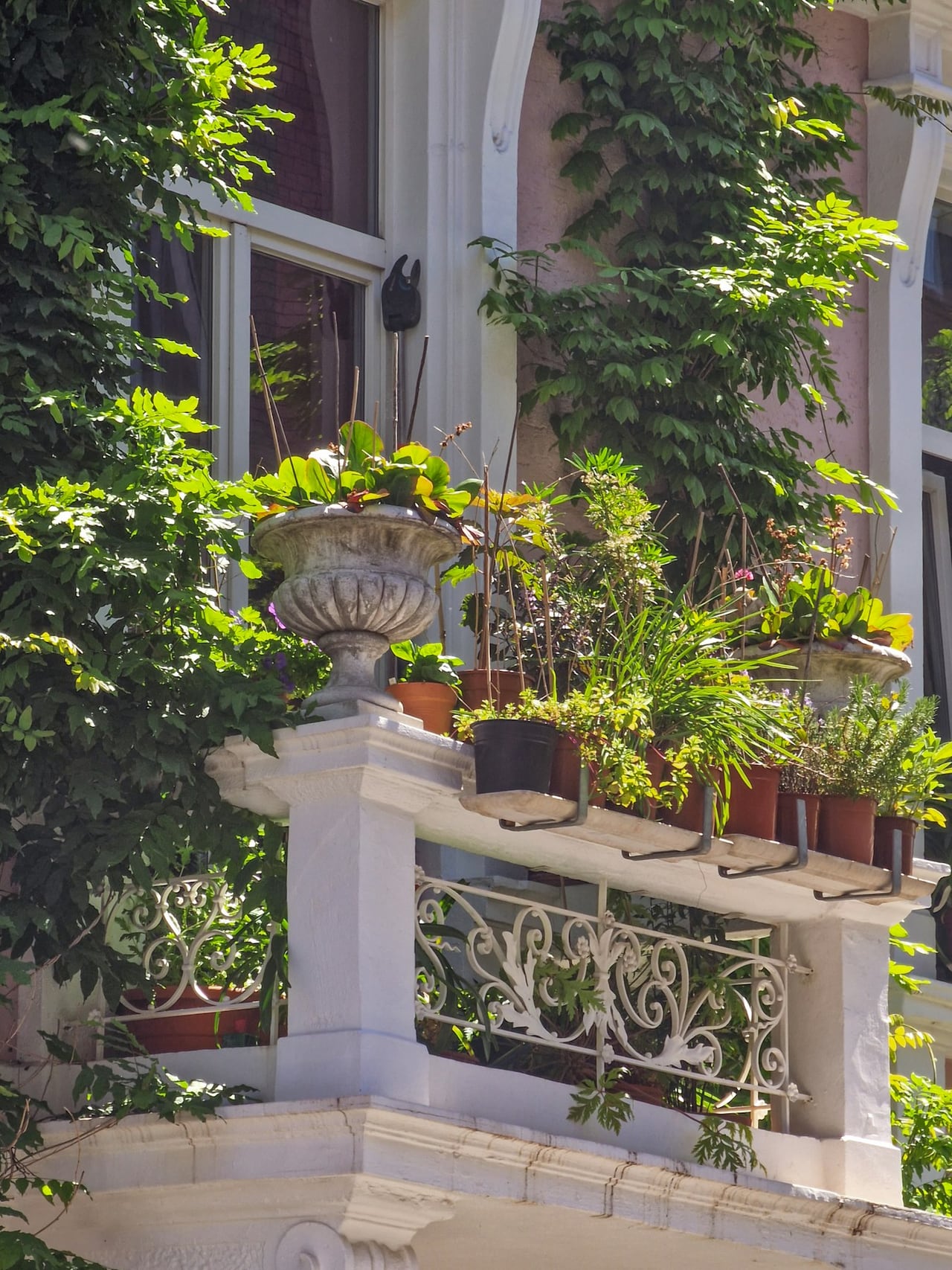 Ein Balkon mit zahlreichen Pflanztöpfen und grünen Kletterpflanzen