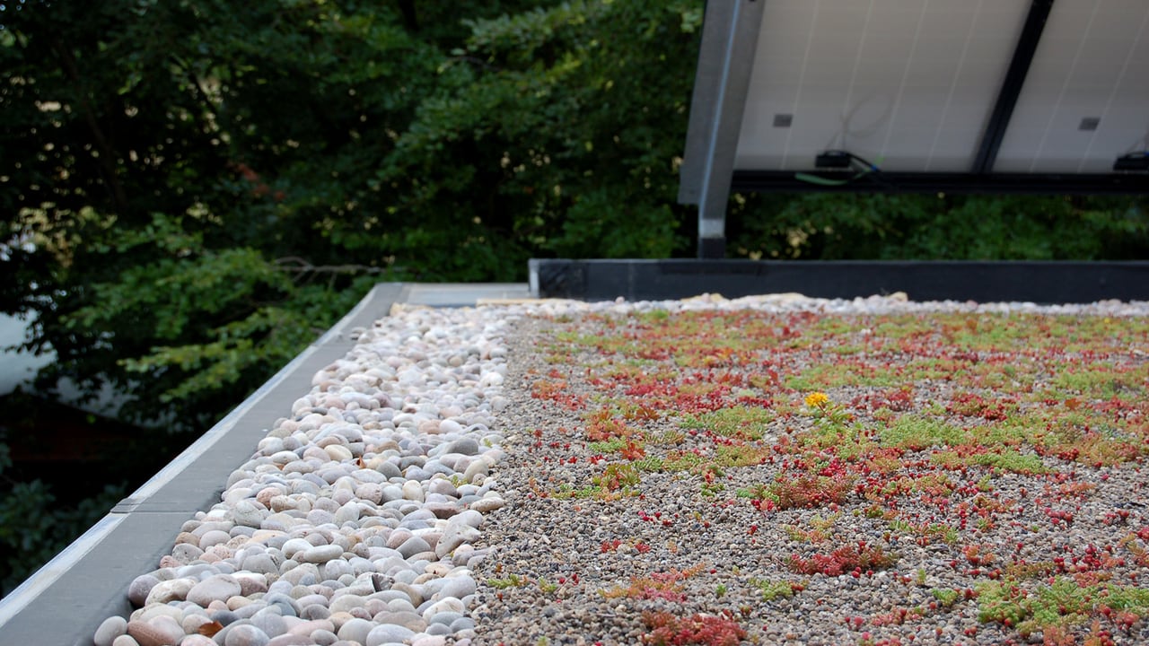 Sedum-Dach mit Solarmodulen am Green Shop in Bisley, England